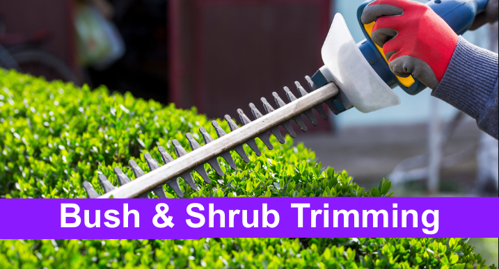 bush trimming services in bucks county, in montgomery county, in greater philadelphia